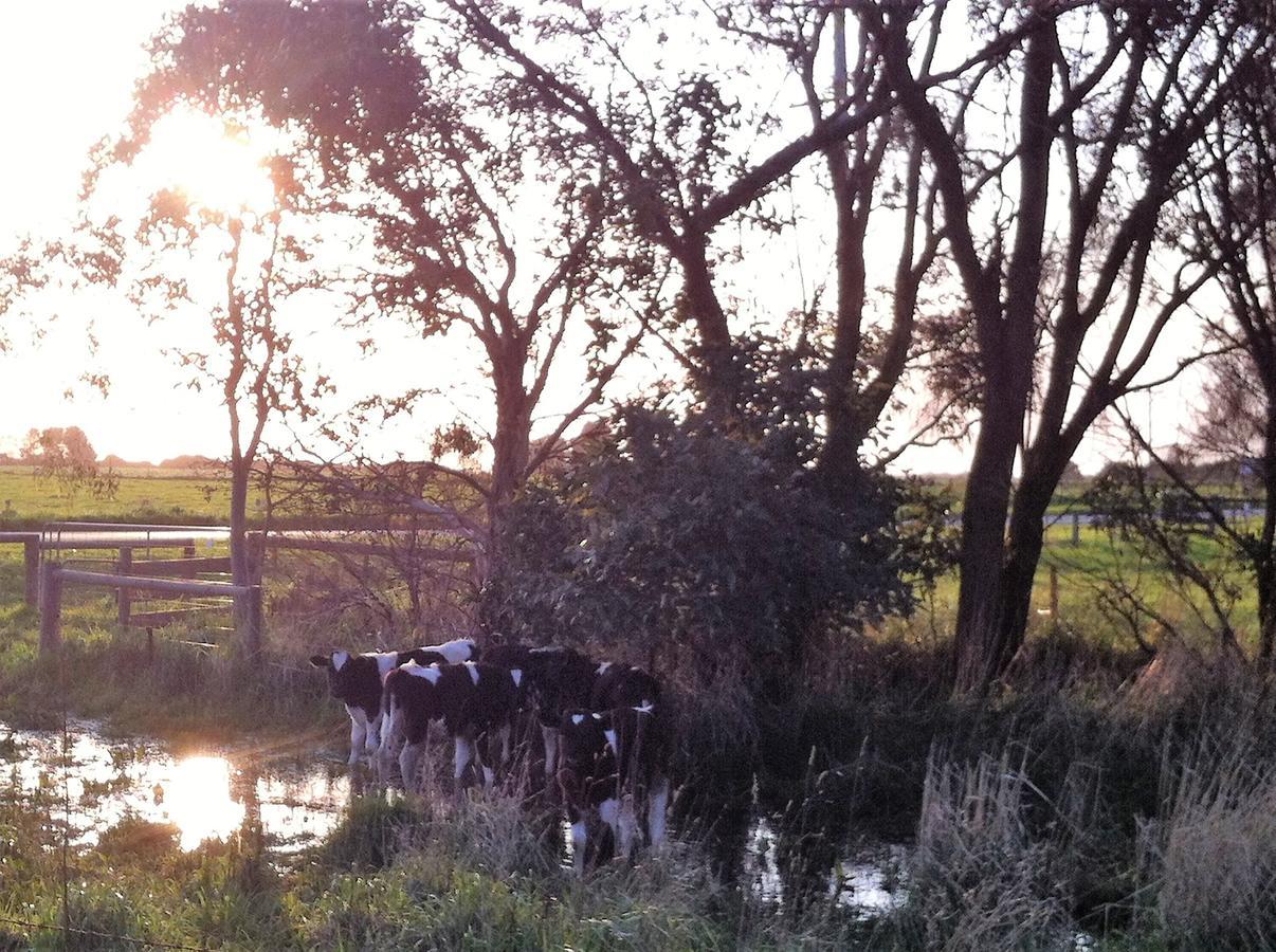 The Estate Koroit Boutique Hotel エクステリア 写真